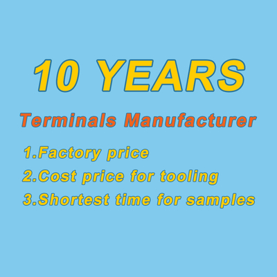Tembaga Motor Otomatis Spade Crimp terminal listrik Flat Spade Connector Chain Pin Pria Mobil Terminal